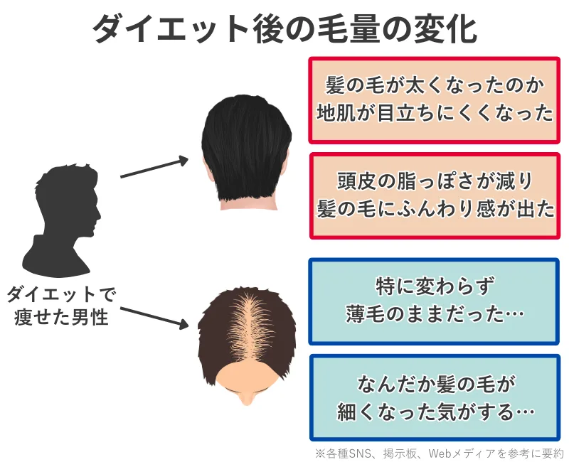 ダイエット後の毛量の変化ビフォーアフター