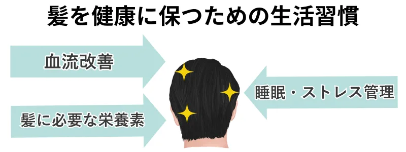 髪がふさふさの男性とともに、髪を健康に保つための生活習慣の図解