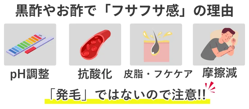 お酢・黒酢の作用・フサフサ感の理由：pH・皮脂/フケ・抗酸化・摩擦減