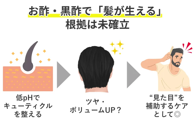 発毛根拠は未確立。お酢は低pHでツヤ・ボリュームなど見た目を補助